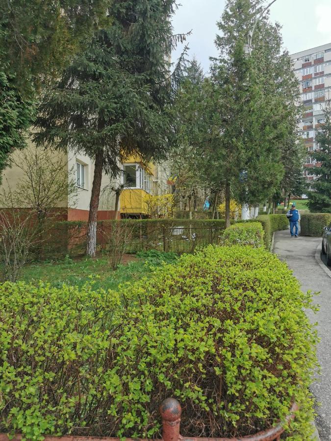 Apartament Maysa Kluž Exteriér fotografie